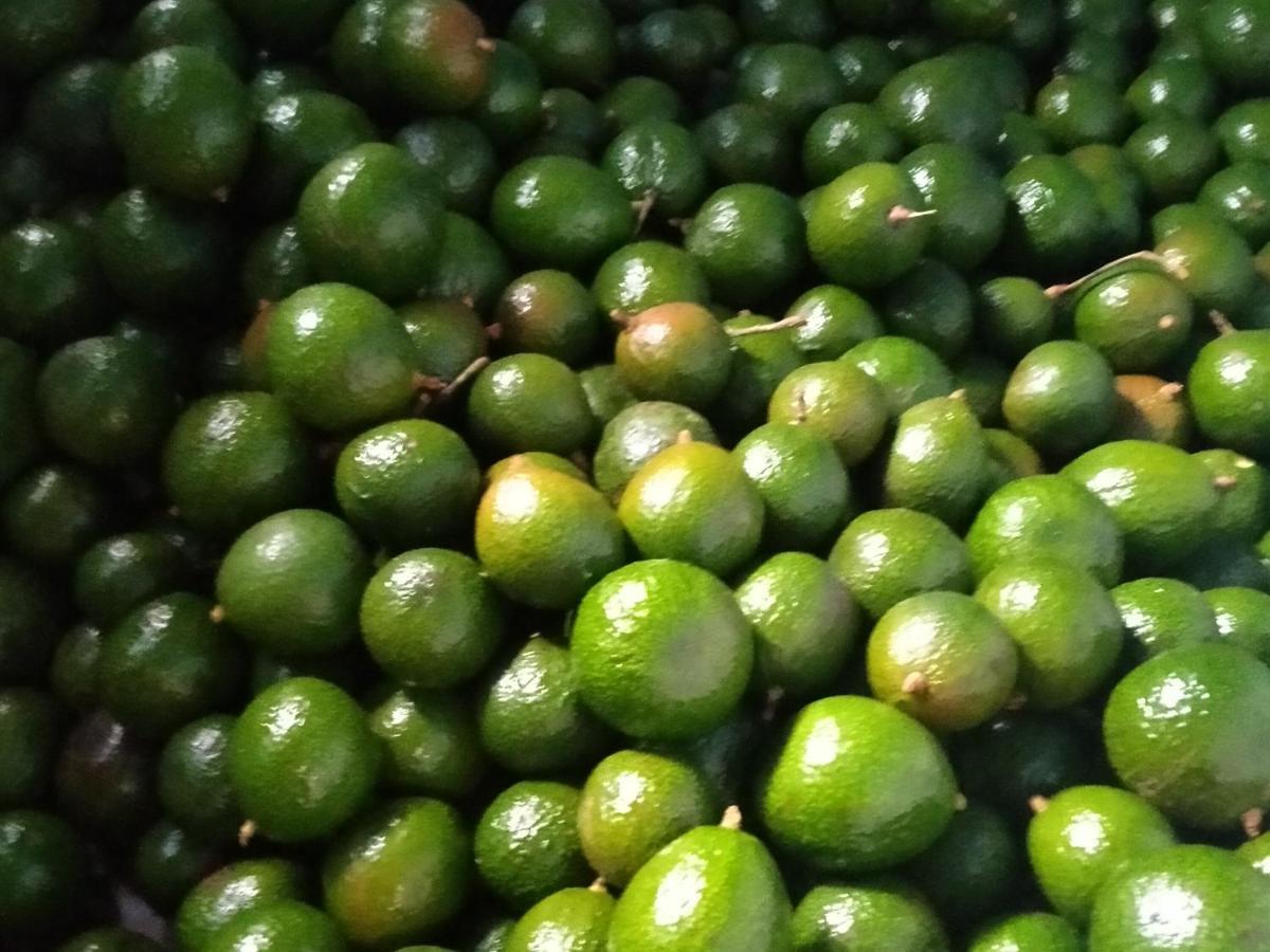 Mistletoe Homestay & Cafe Munnar Extérieur photo