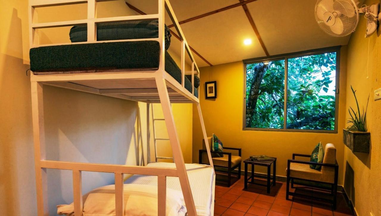 Mistletoe Homestay & Cafe Munnar Extérieur photo