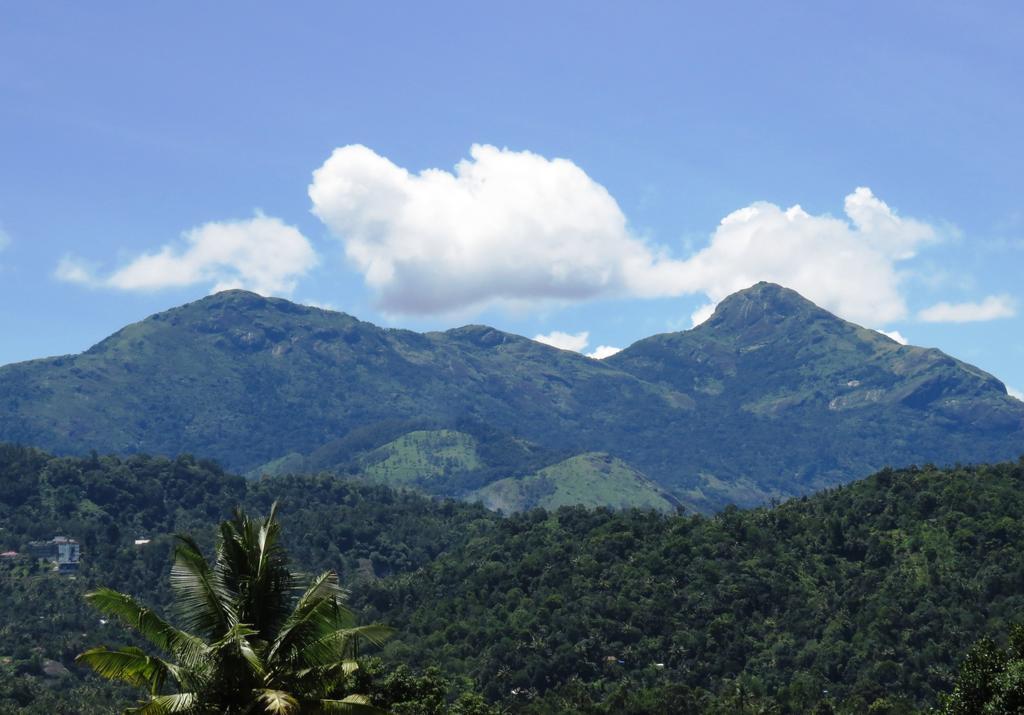 Mistletoe Homestay & Cafe Munnar Extérieur photo