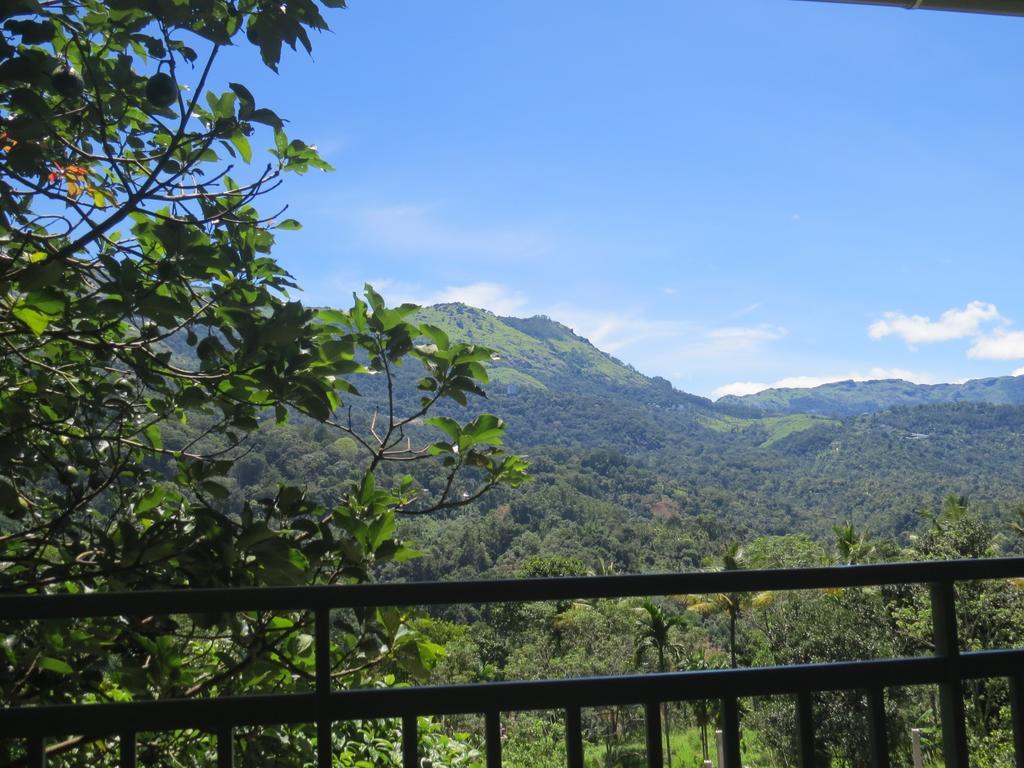 Mistletoe Homestay & Cafe Munnar Extérieur photo