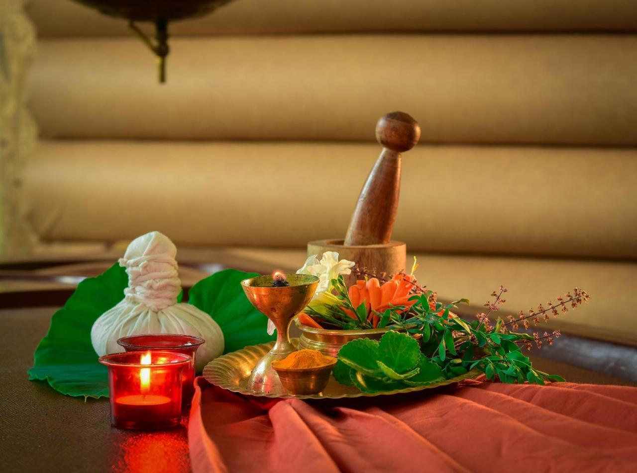Mistletoe Homestay & Cafe Munnar Extérieur photo